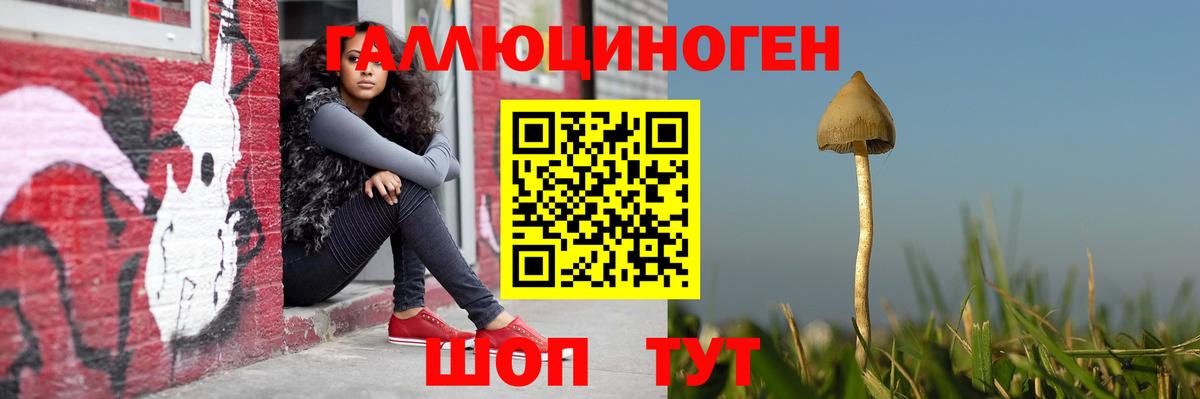 Псилоцибиновые грибы GOLDEN TEACHER  Вход с VPN  Можга 